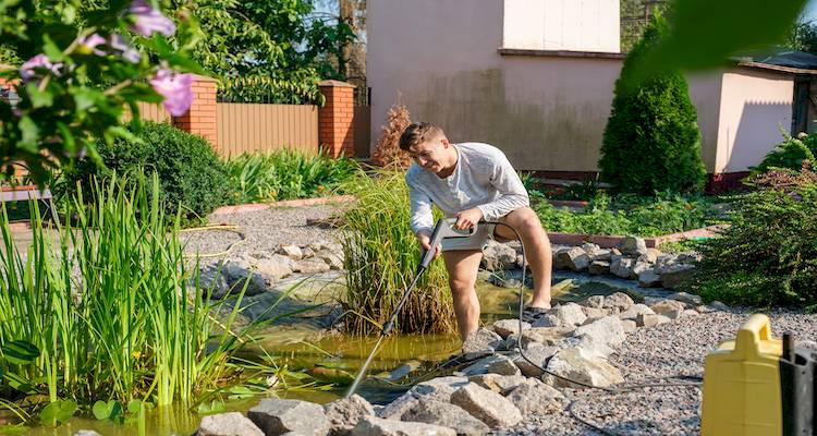 building pond