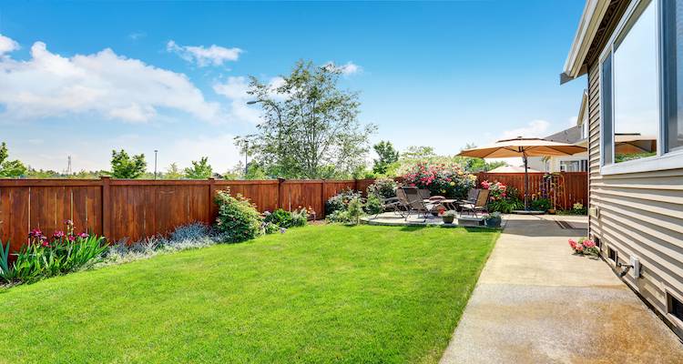concrete path beside garden fence