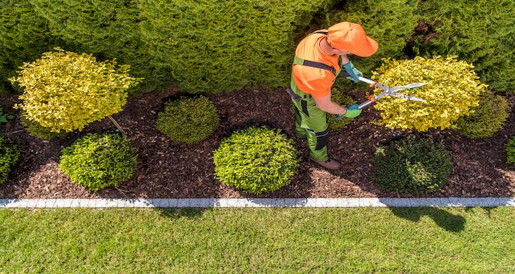 Garden maintenance