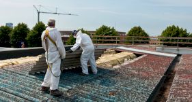 Asbestos Removal Cost