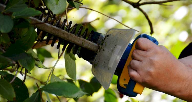 mini chainsaw