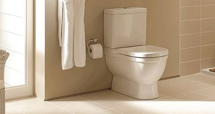 1imageoftoiletreplacement1