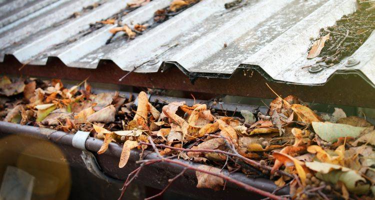 blocked guttering