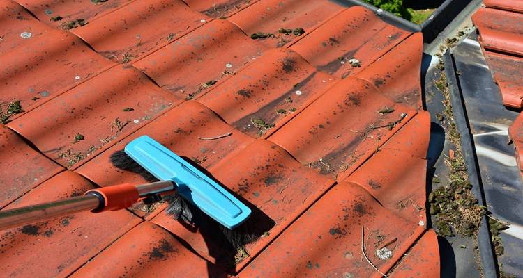 soft roof cleaning