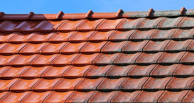 roof cleaning