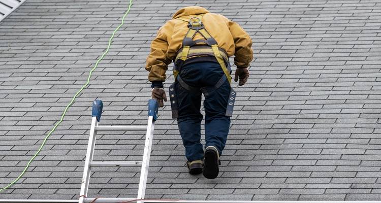 Man walking up roof with ladder