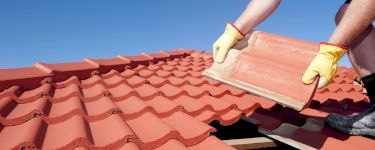 Roofs and Chimneys cost guides