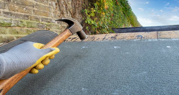 shed roof