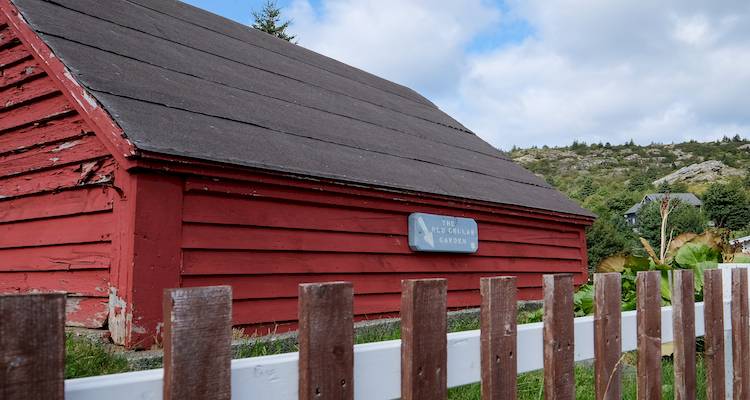 felt shed roof