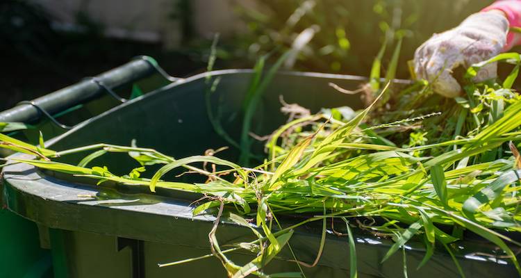 garden waste removal