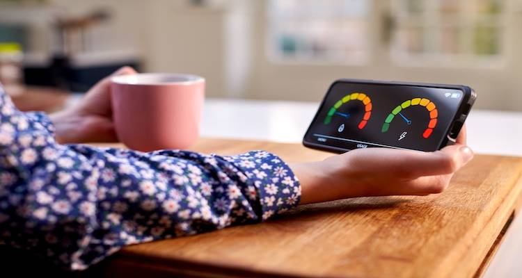 smart meter cost
