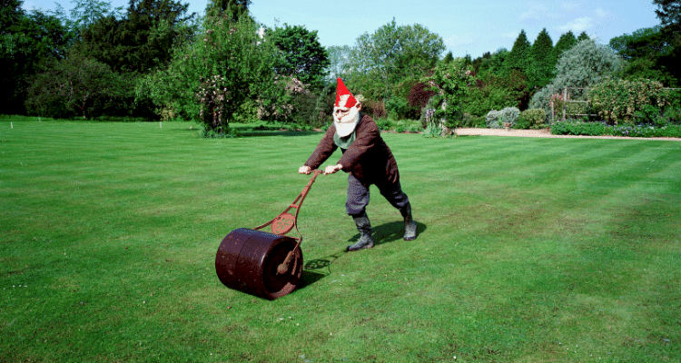 Person dressed a a gnome mowing lawn