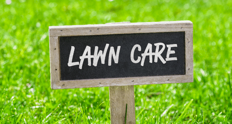lawn care sign in grass