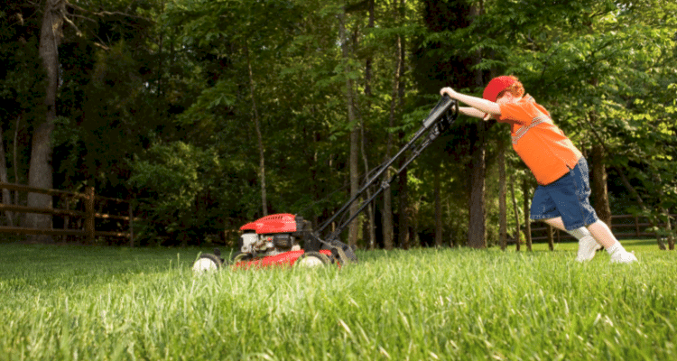 young child mowing lawn