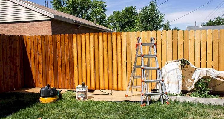 stainingfencesandsheds1