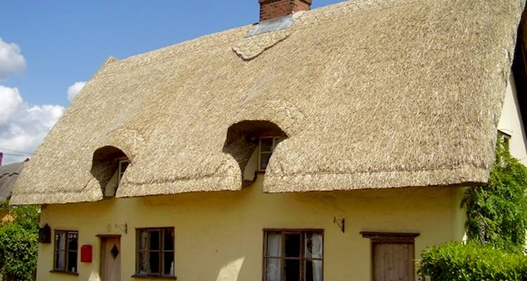 blue sky thatched roof