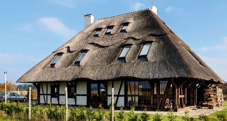 skylights that have been installed on a property with a thatched roof