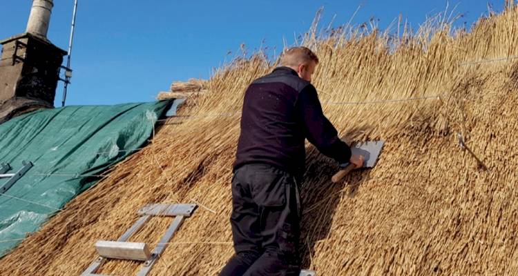 workman rethatching