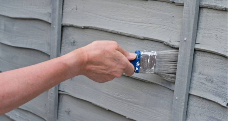 person painting fence