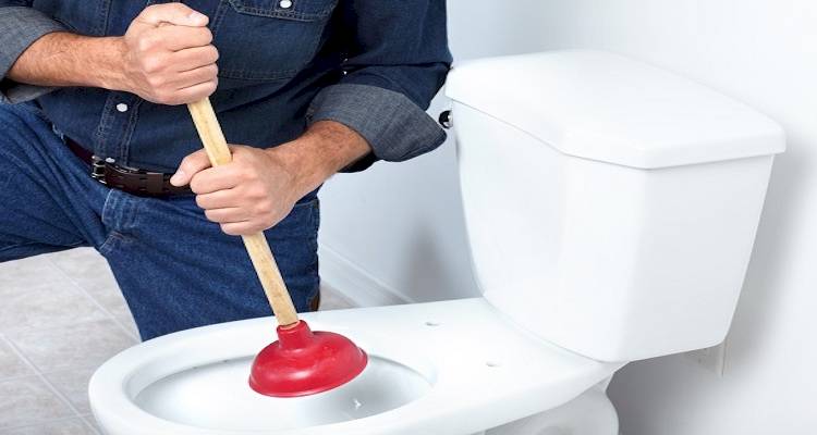 Plunger toilet