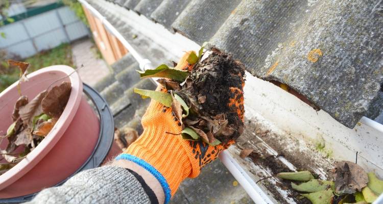 person cleaning gutters