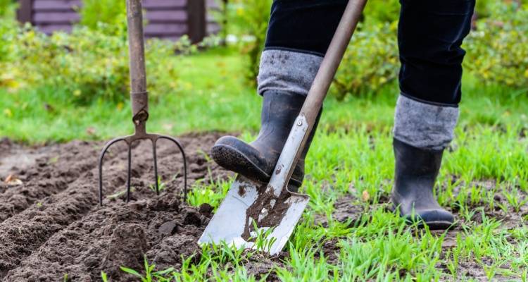 person gardening