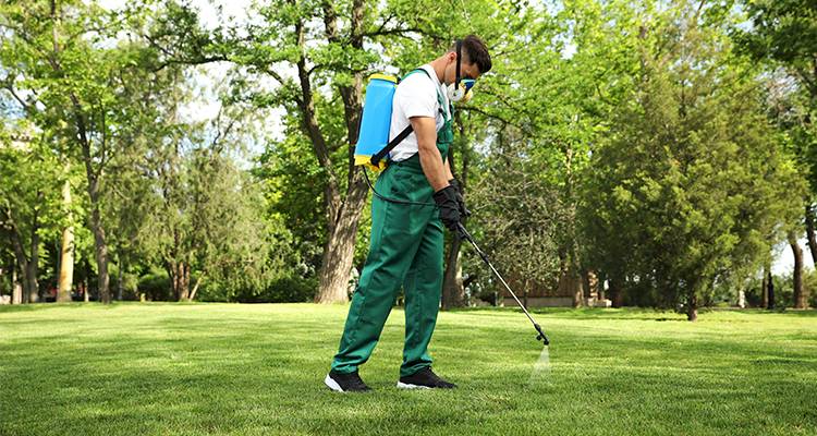 How Much Is Treating A Lawn Treat A Lawn Cost Guide 2022