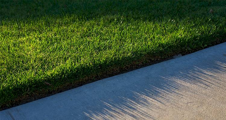 Cost of Lawn Treatment Service