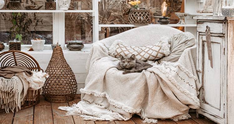 cosy chair