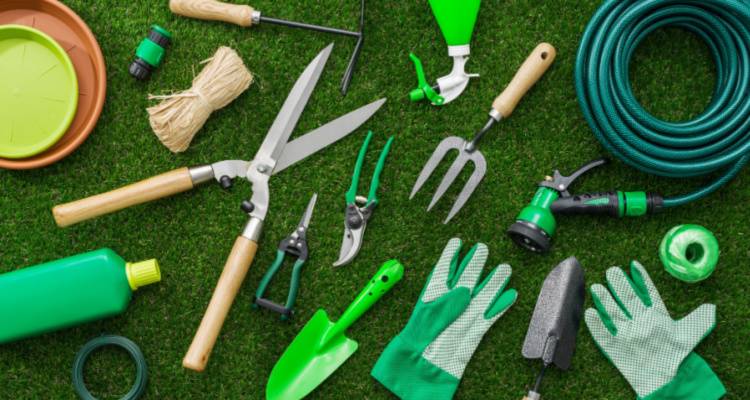 Ultimate Guide to Gardening all Year Round