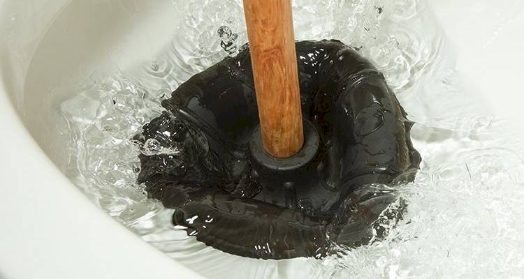 Black plunger