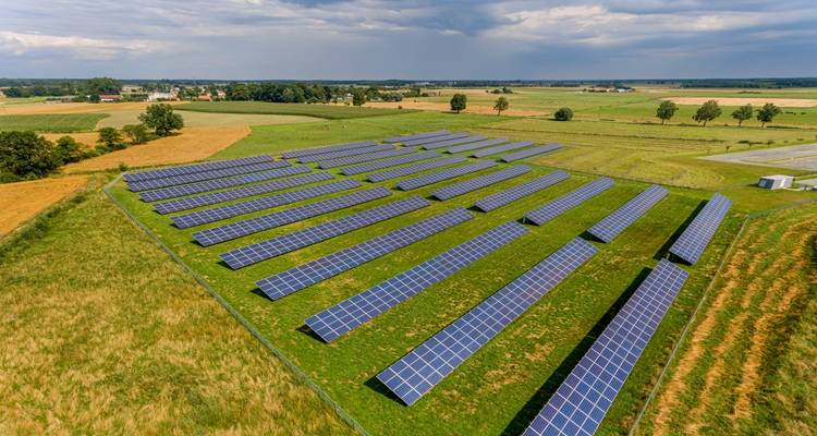 solar farm