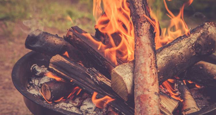 logs burning on fire pit