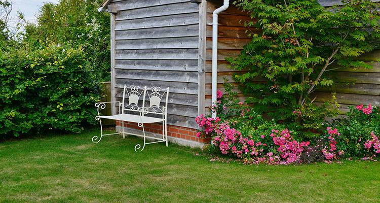 shed in garden with bench