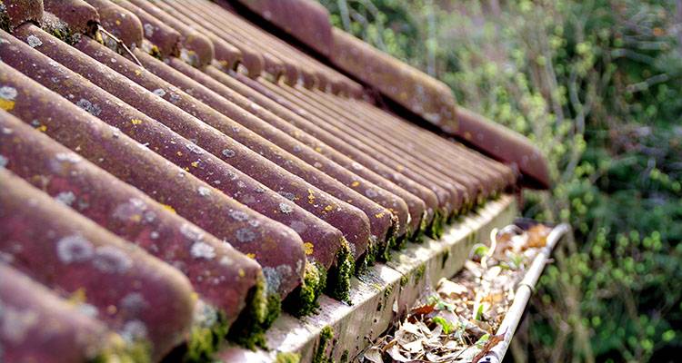 roof and guttering