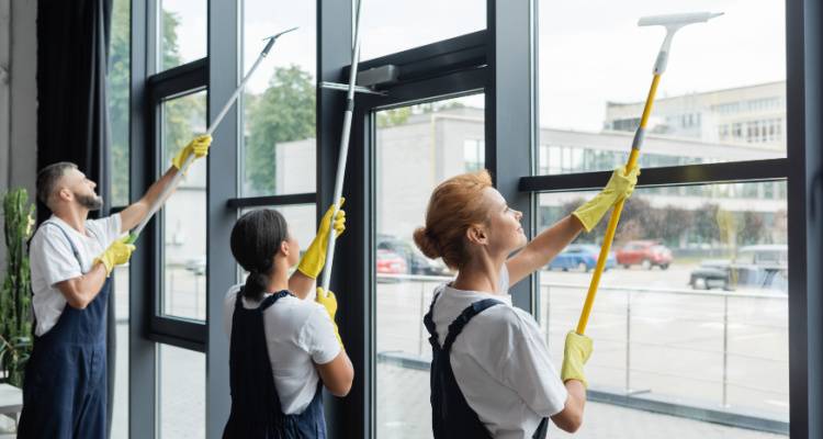 multiple window cleaners