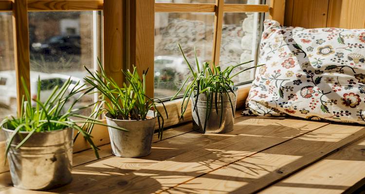 wood windowsill