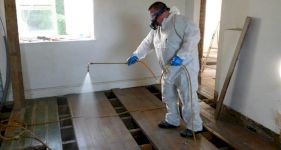 Woodworm Treatment Cost