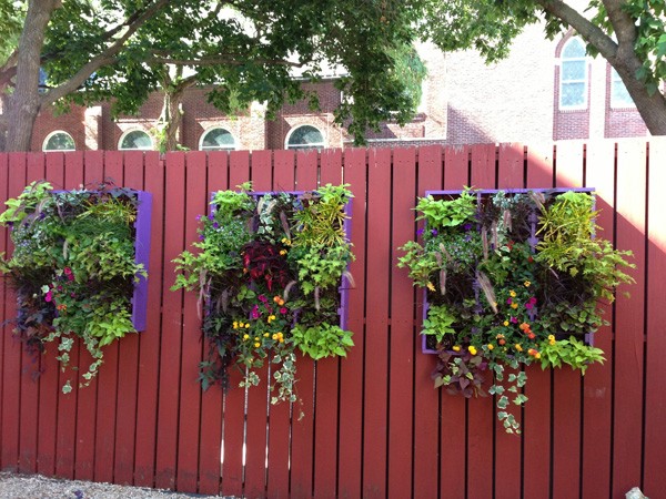 baskets hanging on a fence to help liven up your garden