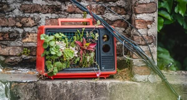 TV being used as a planter