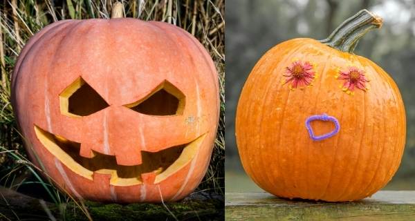 Pumpkins with scary face and funny face