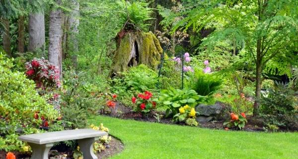 green garden to enjoy