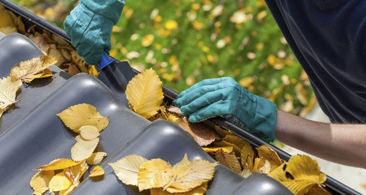 gutter being cleaned