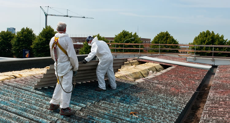 two asbestos removal specialists preparing to remove asbestos from a roof